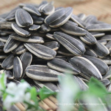 Hochwertiger Preis für Sonnenblumenkerne mit konkurrenzfähigem Preis